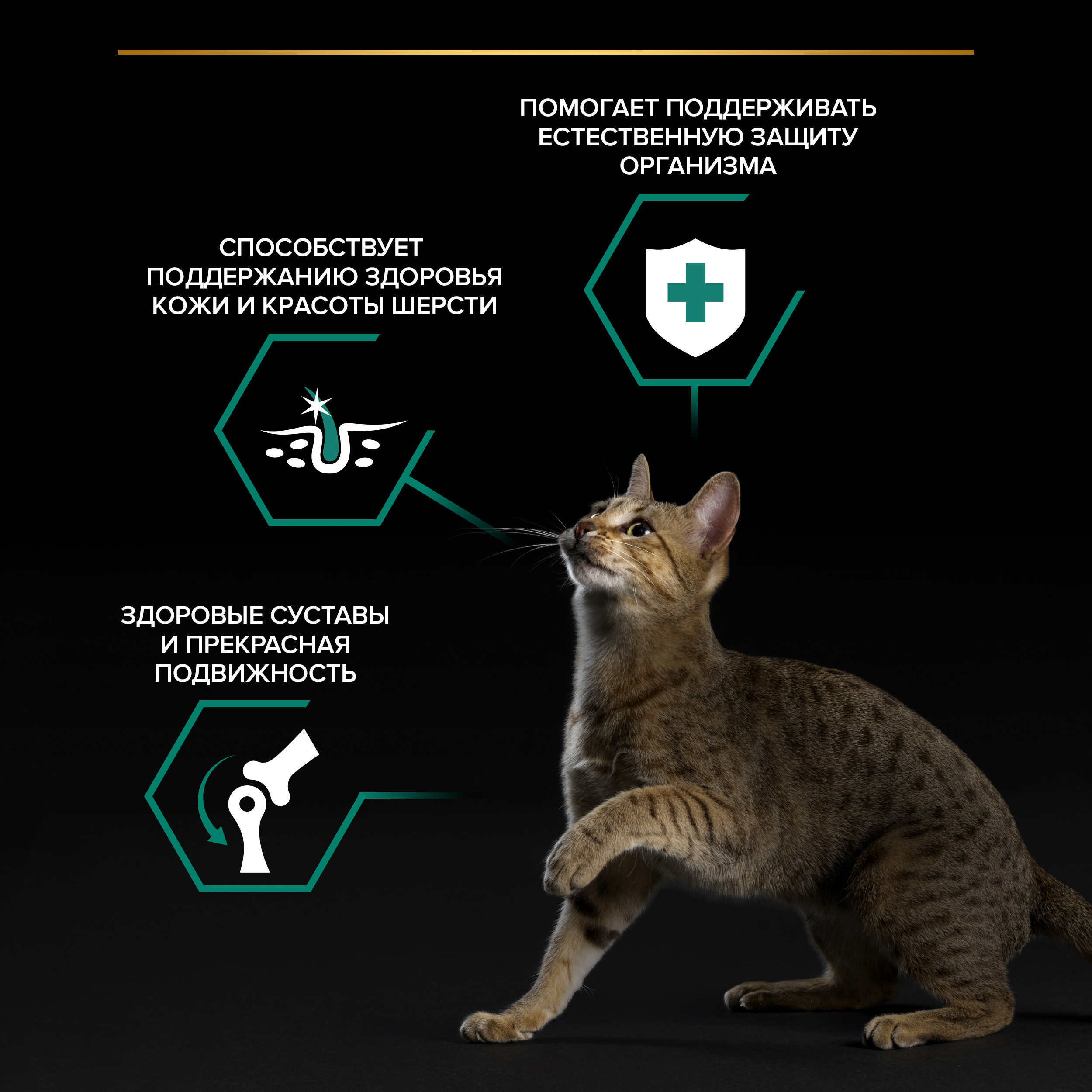 Корм влажный для кошек PRO PLAN MAINTENANCE 85г с говядиной в соусе - фото 3