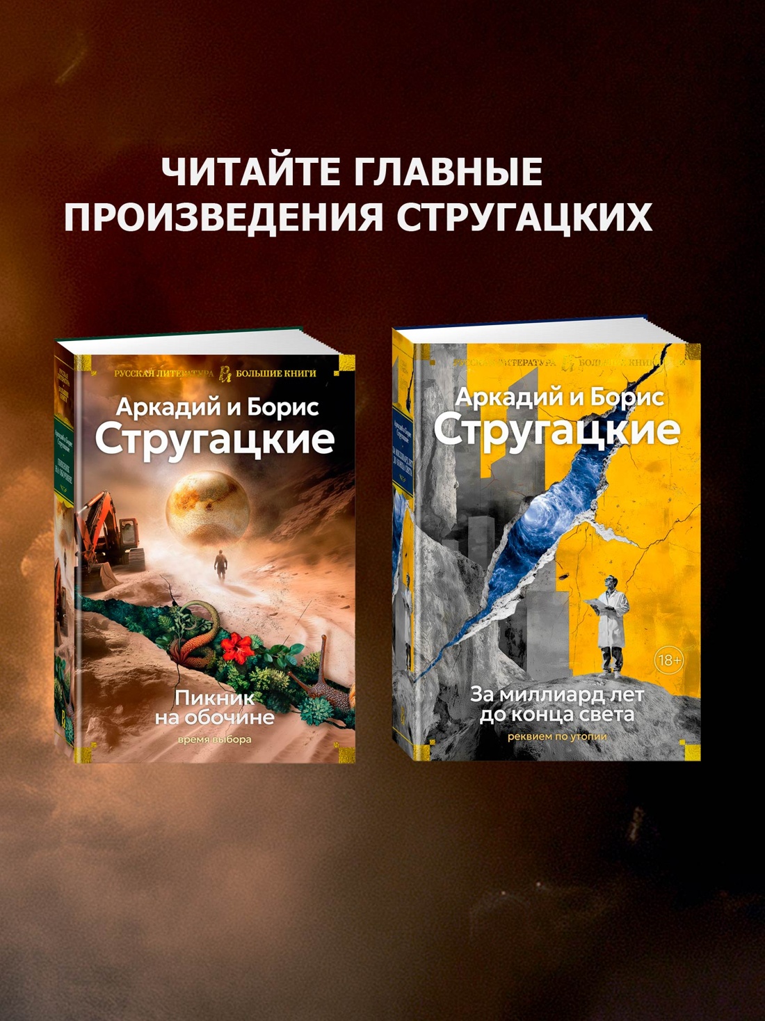 Книга АЗБУКА Пикник на обочине. Время выбора. - фото 4