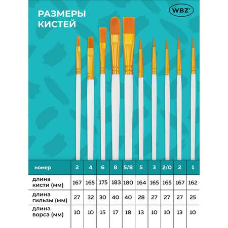 Кисть WBZ 10 шт.