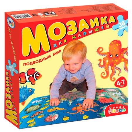 Напольная мозаика Дрофа-Медиа