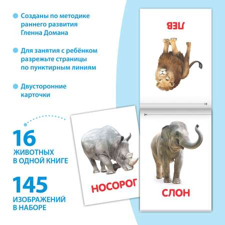 Набор книжек Буква-ленд Обучающие карточки на скрепке
