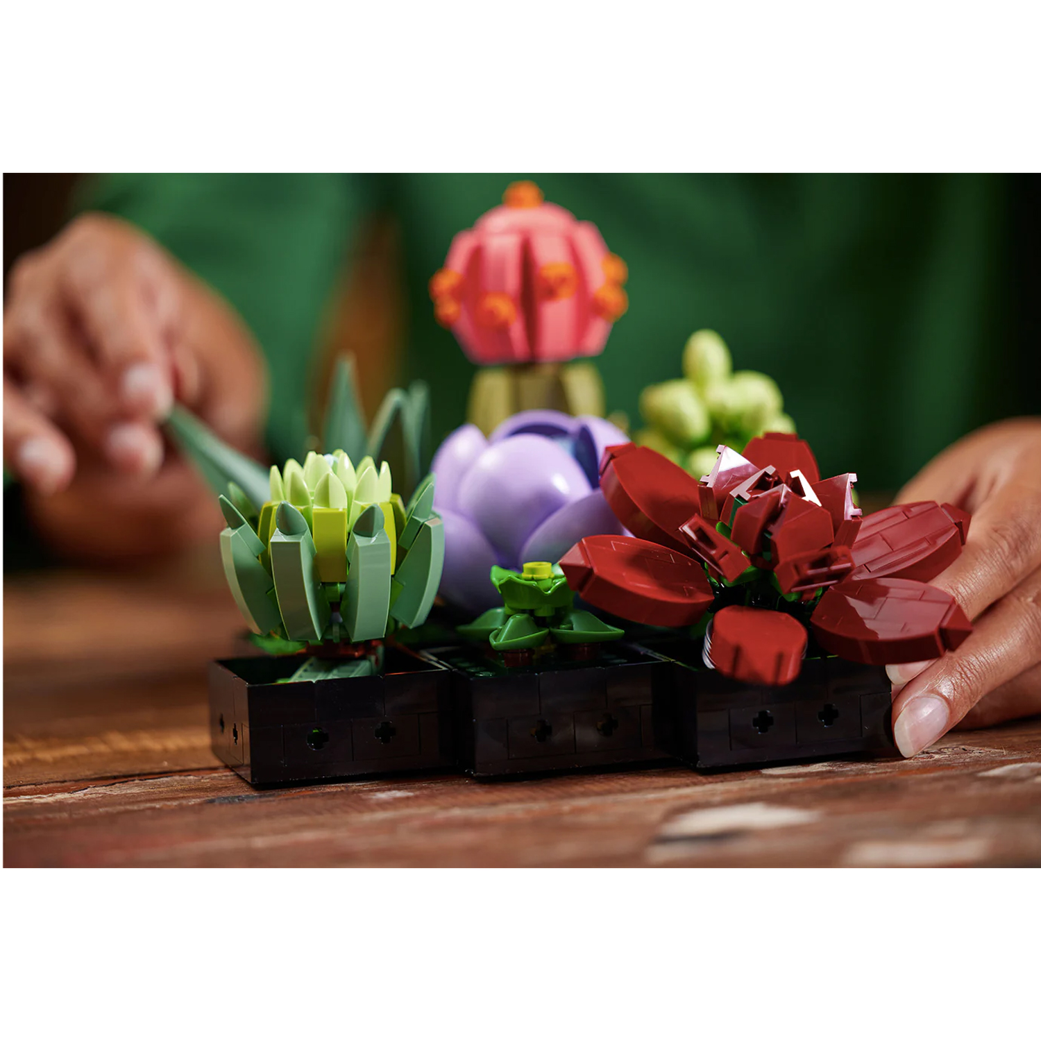 Конструктор LEGO Botanicals Кактусы 771 дет. - фото 10