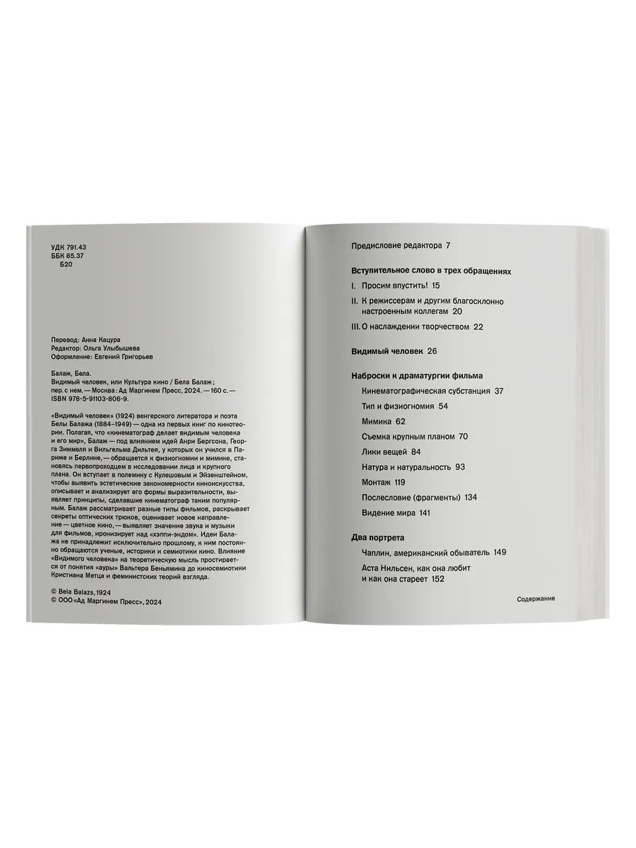 Книга Ad Marginem Видимый человек или Культура кино - фото 2