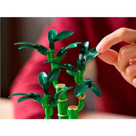 Конструктор LEGO Botanicals Счастливый Бамбук блочный
