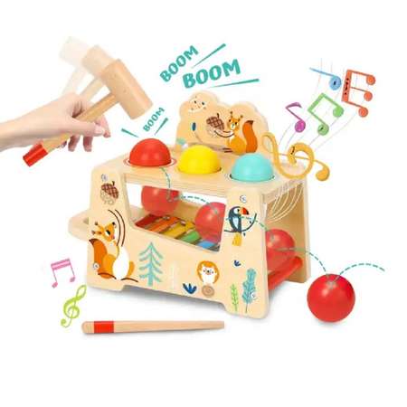Игрушка Tooky Toy сортер