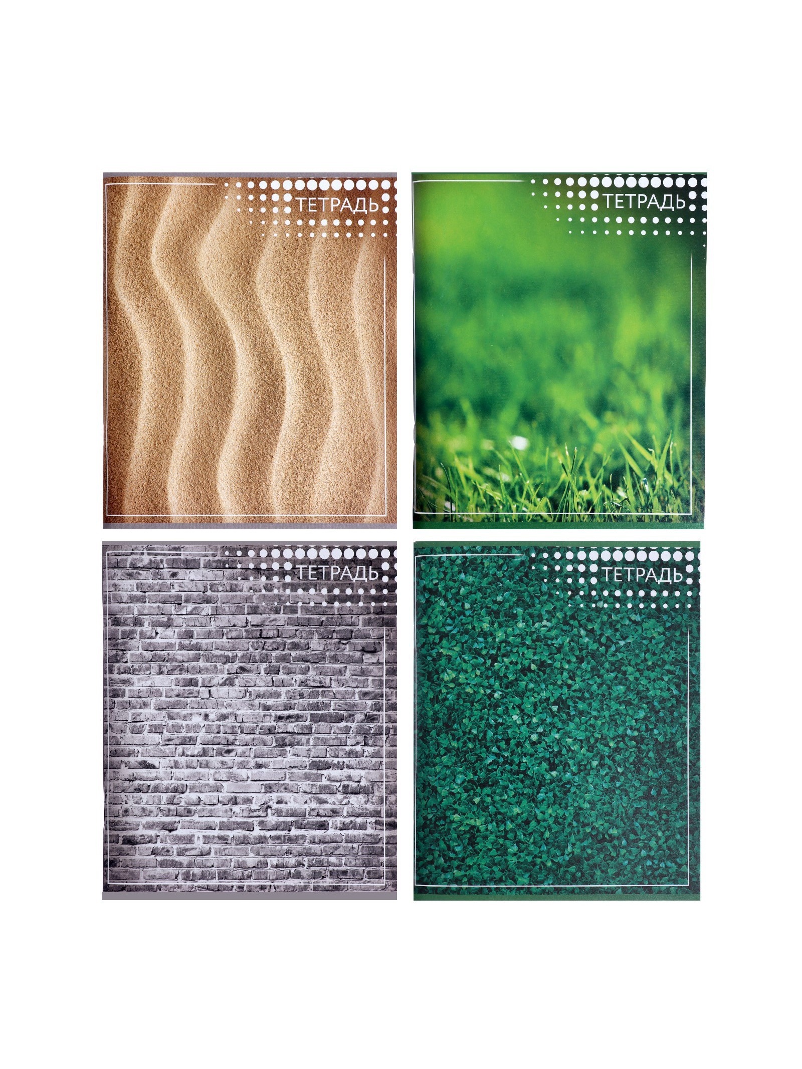 Тетрадь Calligrata клетка - фото 6