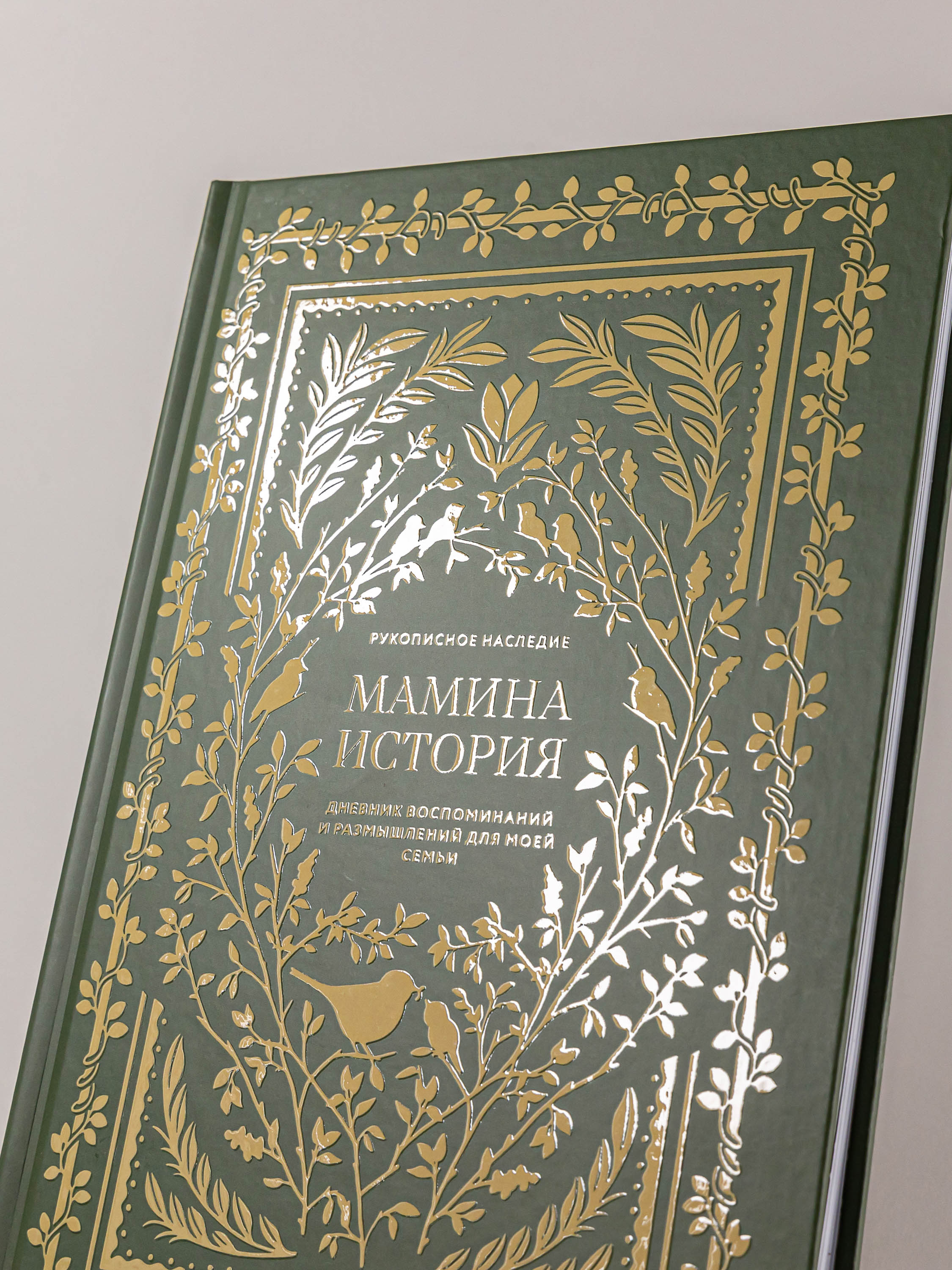 Книга Альпина. Дети Мамина история. Дневник воспоминаний - фото 5