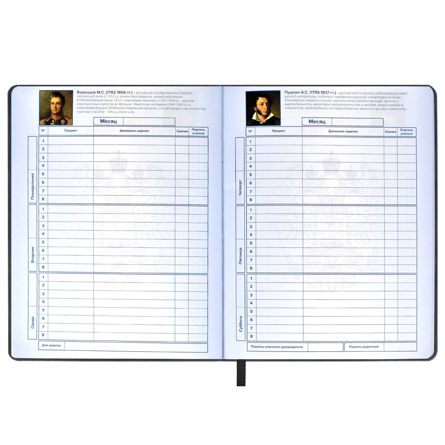 Дневник школьный Феникс + Дневник российского школьника2 - фото 8