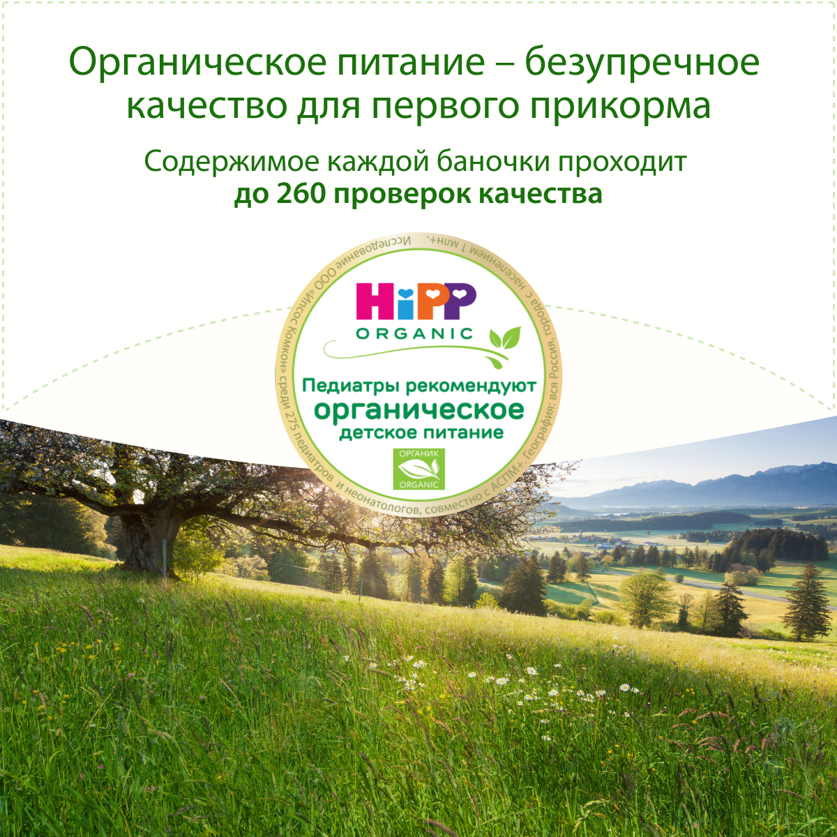 Пюре Hipp Зерновая каша-фрукты с 6 мес 190 г - фото 3