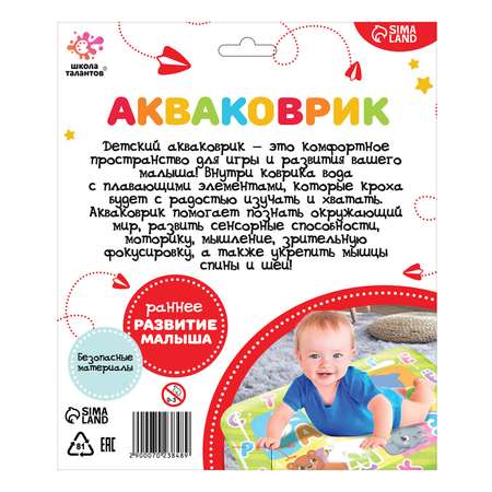 Коврик Школа Талантов
