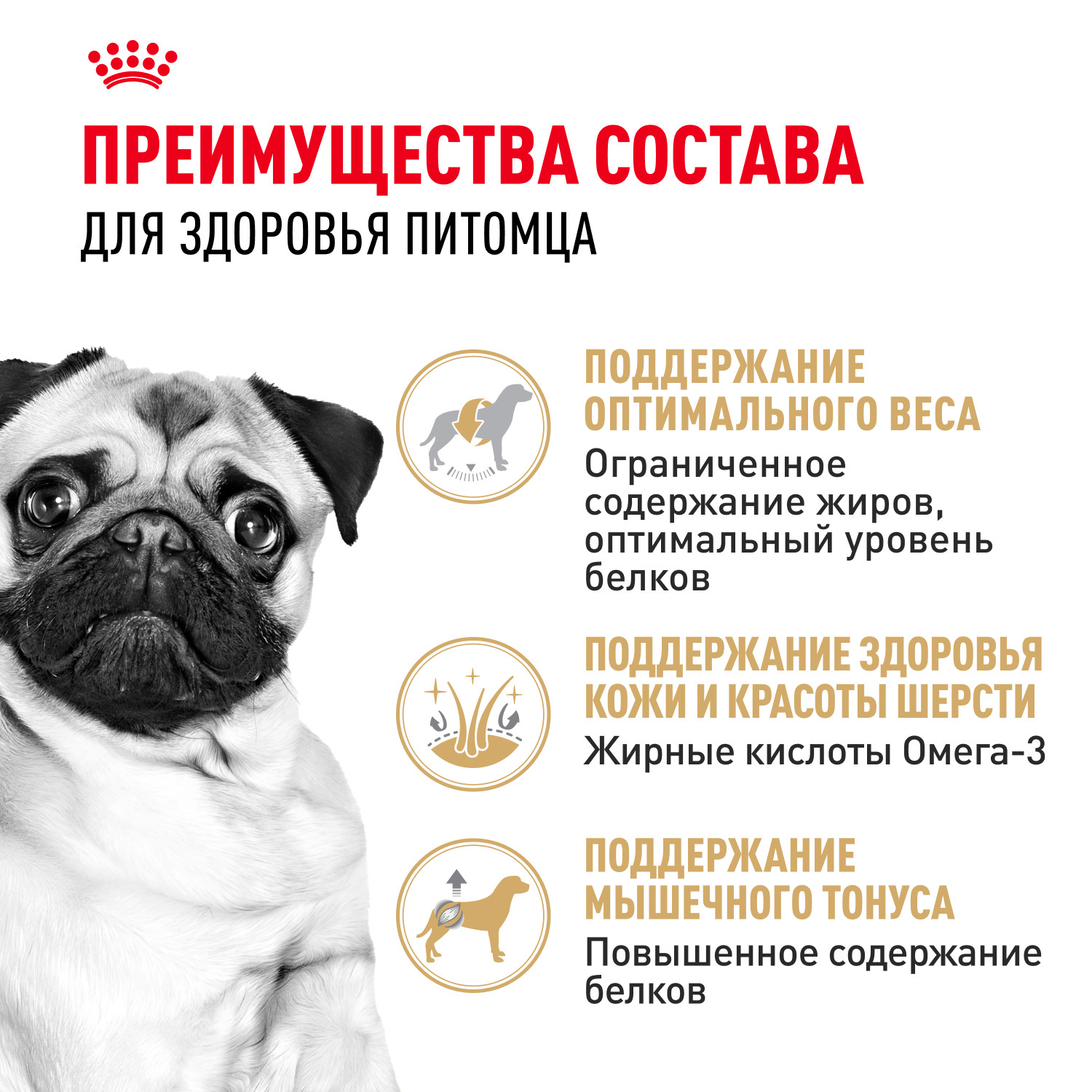Корм для собак ROYAL CANIN породы мопс 7.5кг - фото 3