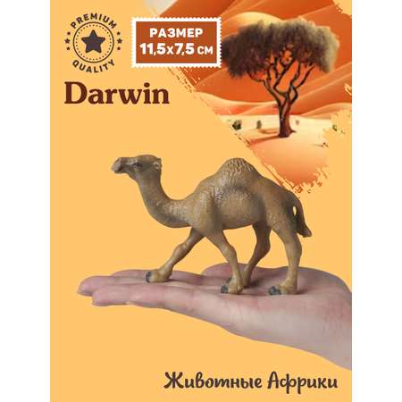 Фигурка DARWIN Животные Африки верблюд