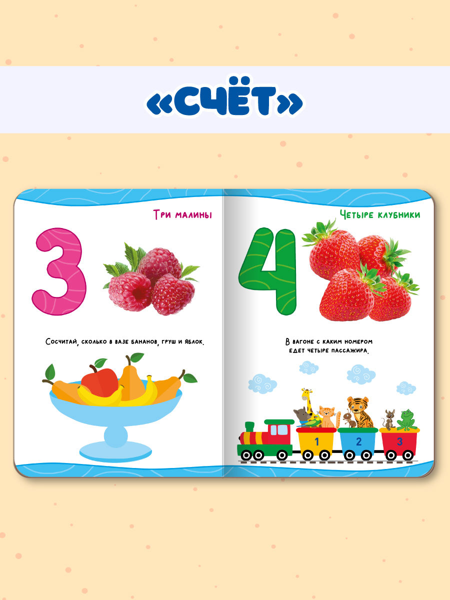 Книжки Проф-Пресс картонные для малышей. 4 шт. Животные+изучаем цвета+счёт+транспорт. 16х22 см - фото 5