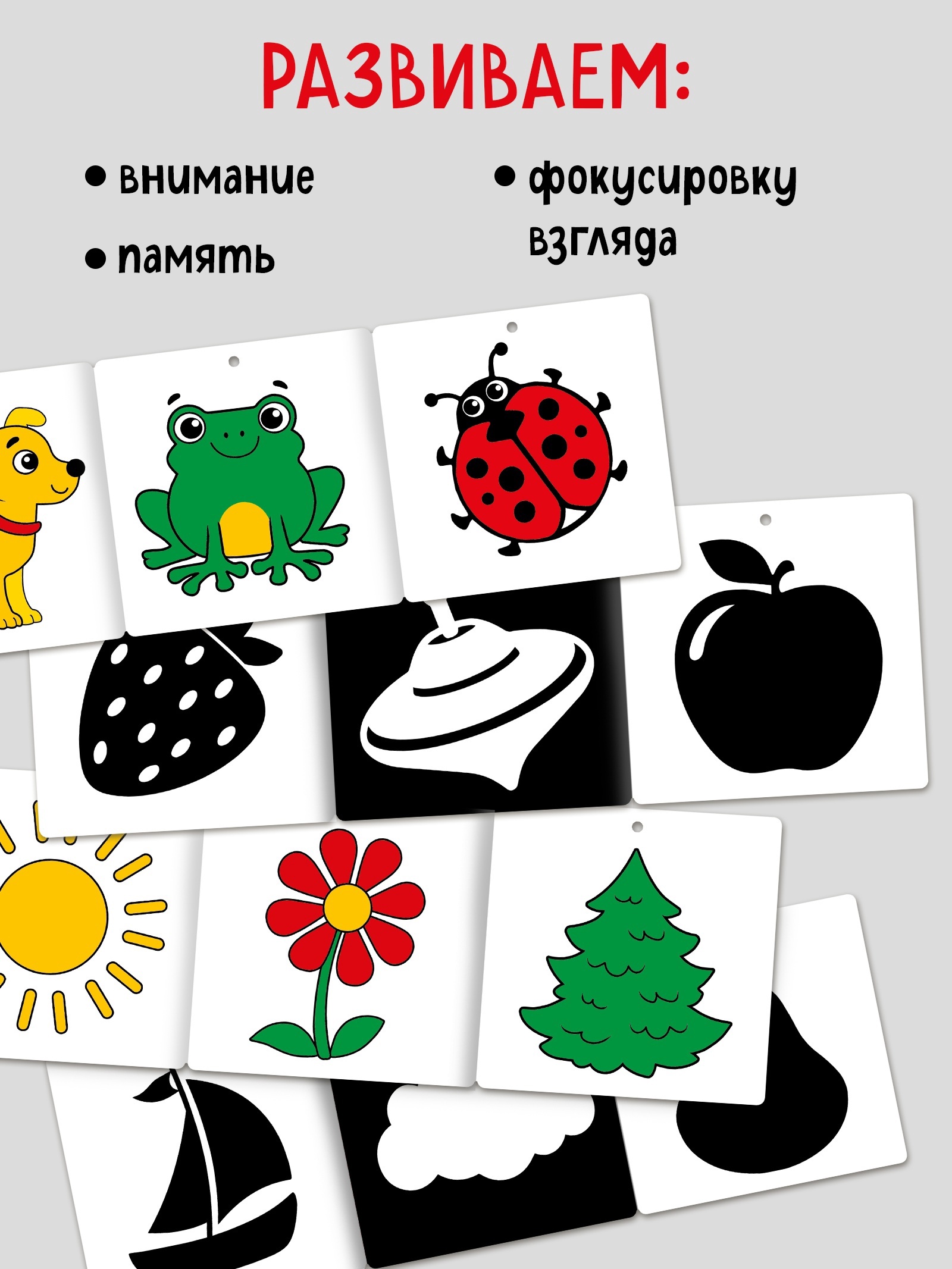 Набор Буква-ленд картонных книжек гармошек Смотрим вместе 6 шт - фото 2