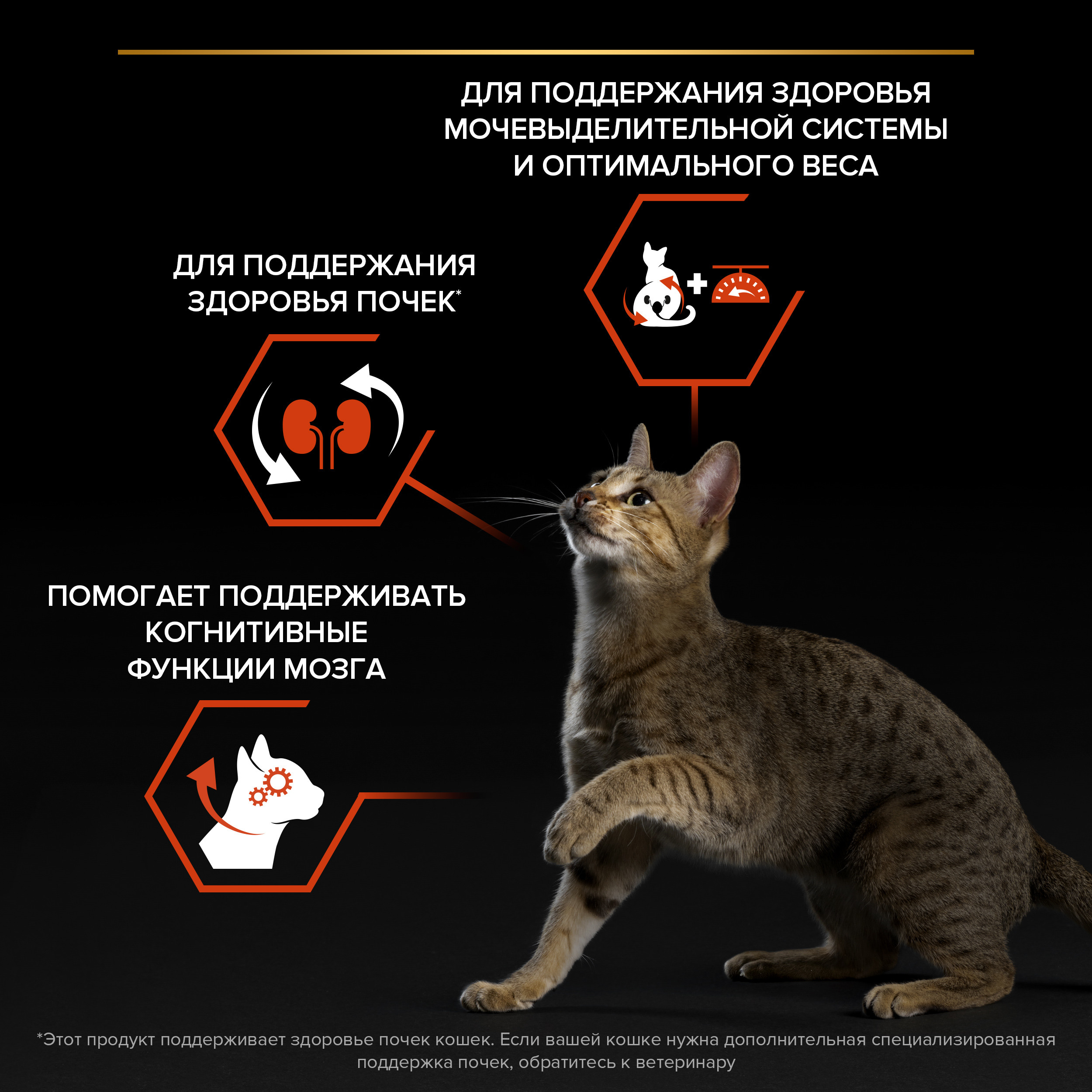 Корм сухой для кошек PRO PLAN 3кг с лососем при стерилизации и кастрации для поддержания органов чувств - фото 6