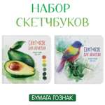 Скетчбук Проф-Пресс для акварели бумага 200 г/м2. А5 20 лист. 2 шт.