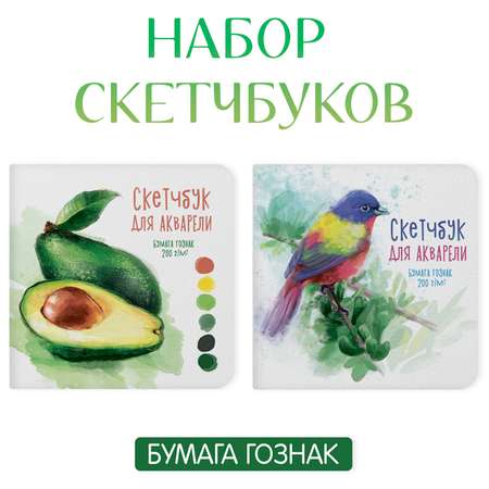 Скетчбук Проф-Пресс для акварели бумага 200 г/м2. А5 20 лист. 2 шт.