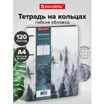 Тетрадь со сменным блоком Brauberg клетка 120 лист.