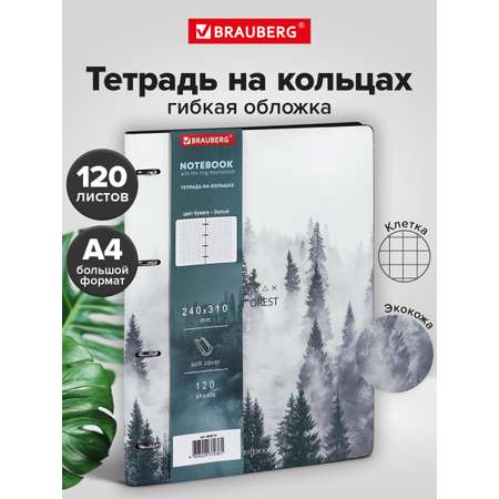 Тетрадь со сменным блоком Brauberg клетка 120 лист.