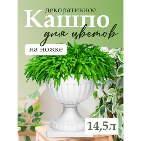Кашпо elfplast Вазон Флора белый 14.5 л 39х38.5 см
