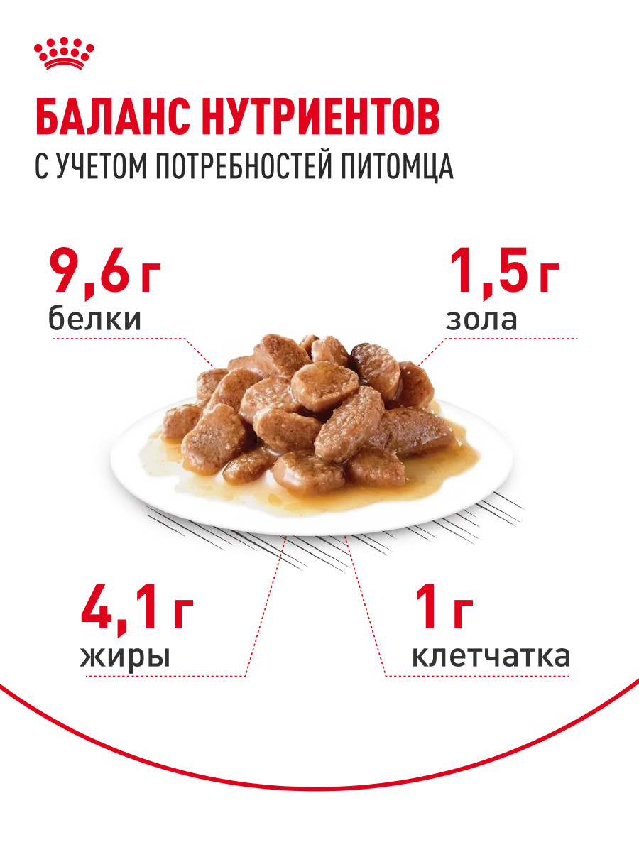 Корм для кошек ROYAL CANIN Ageing 85гр для пожилых 12+ желе пауч - фото 4