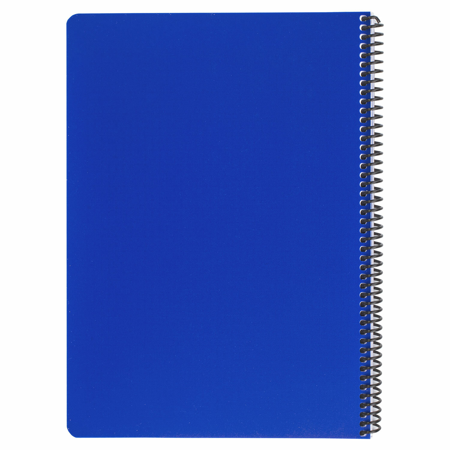 Общая тетрадь Brauberg клетка 120 лист. - фото 7