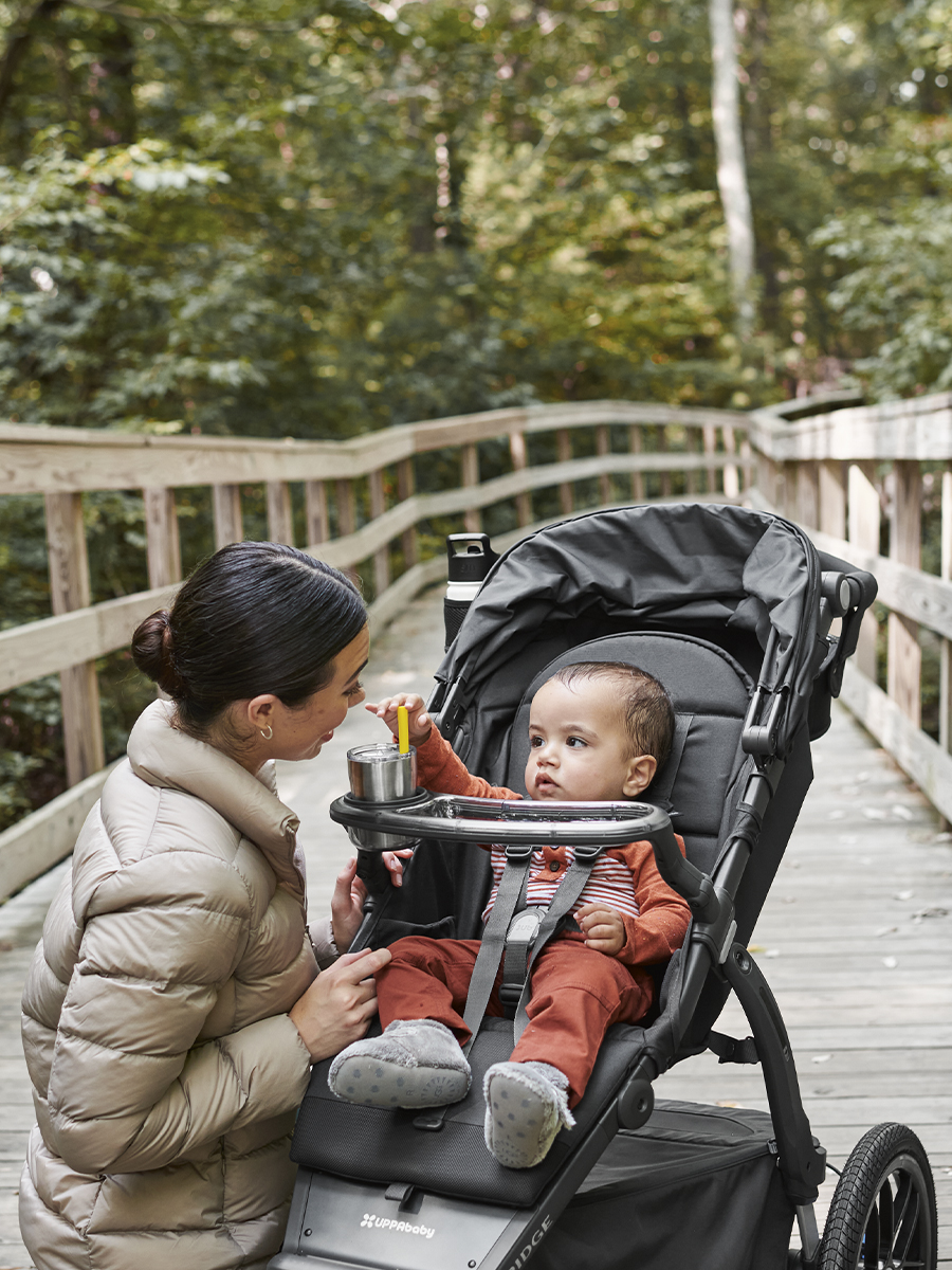 Бампер столик для коляски UPPAbaby Ridge - фото 3