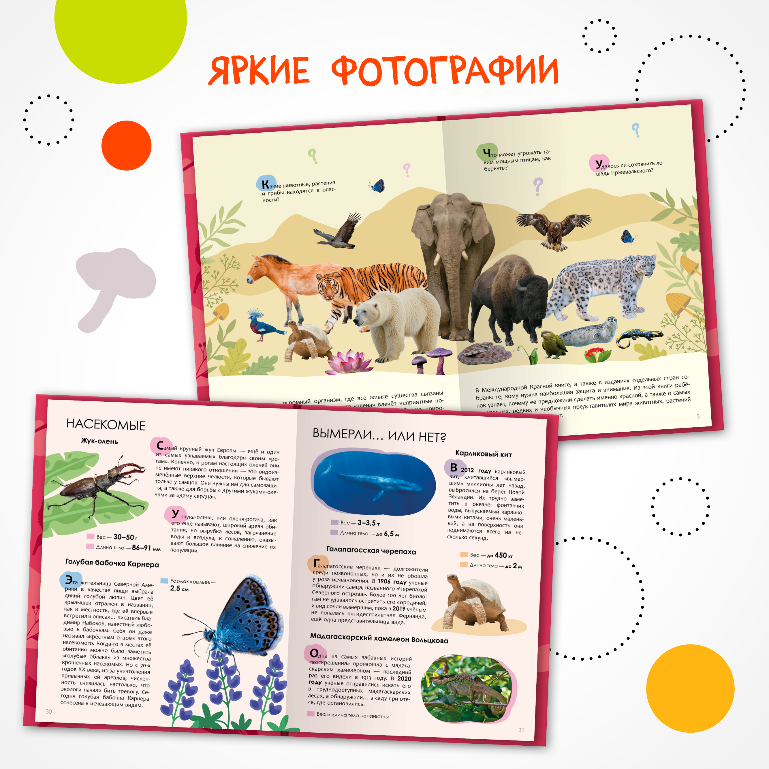 Набор МОЗАИКА kids Детские энциклопедии о животных (Животные, Красеая книга) - фото 11