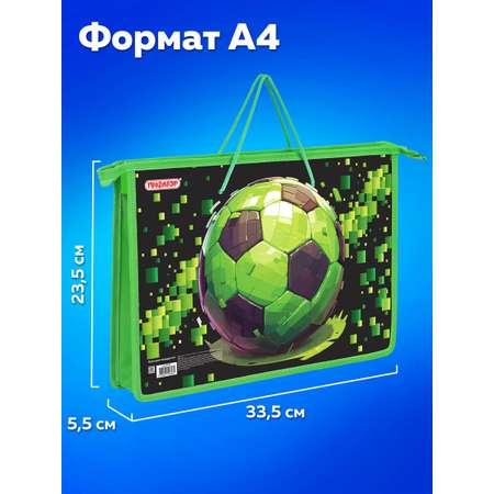 Папка для тетрадей Пифагор А4