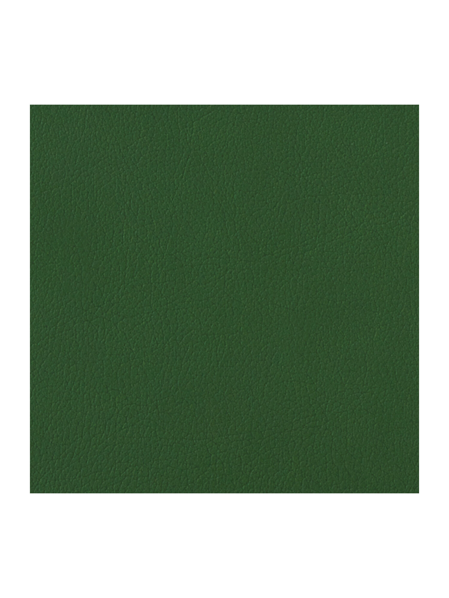 Тетрадь со сменным блоком Brauberg клетка 120 лист. - фото 4