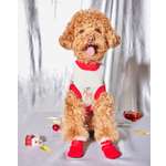 Ботинки для собак Зоозавр 4 шт