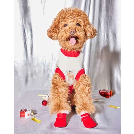 Ботинки для собак Зоозавр 4 шт