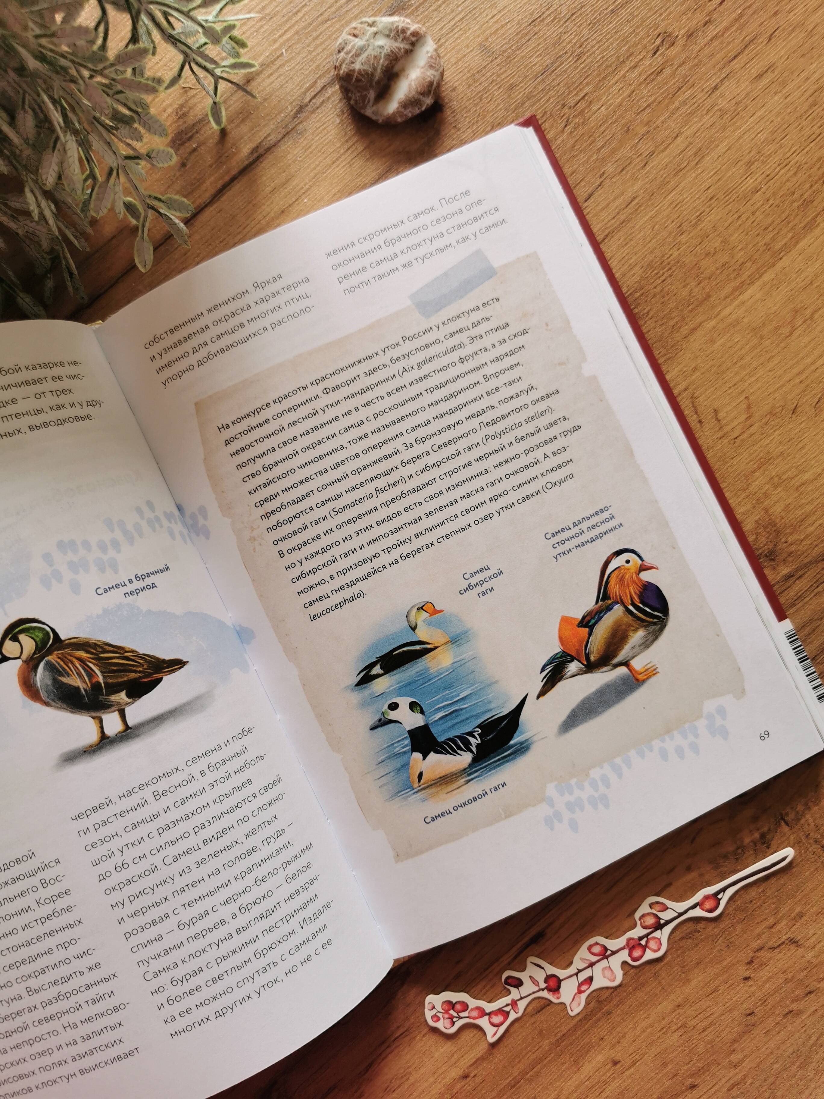 Книга Миф Красная книга России Все основные виды - фото 11