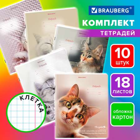 Тетрадь Brauberg клетка 18 лист. 10 шт.