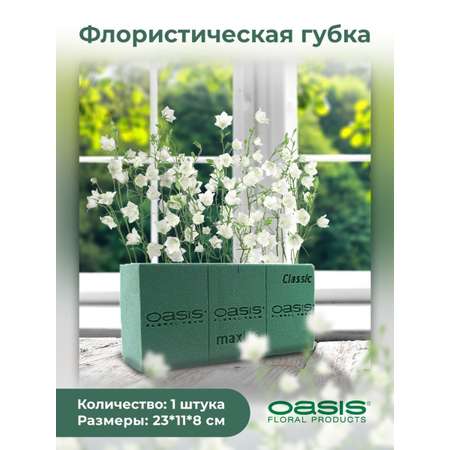 Набор для творчества OASIS