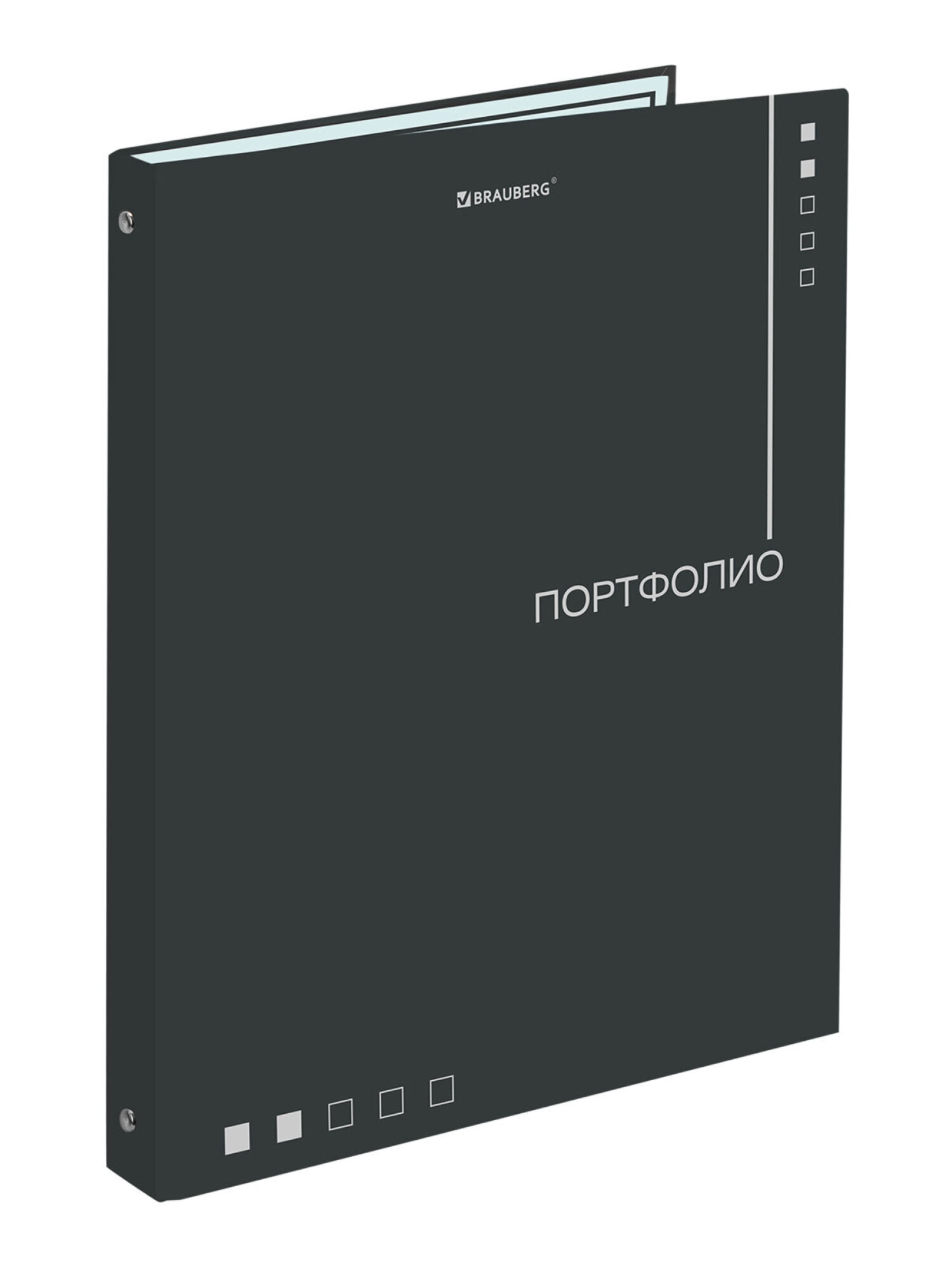 Портфолио школьника Brauberg папка А4 на кольцах 20 файлов для девочки и мальчика - фото 6