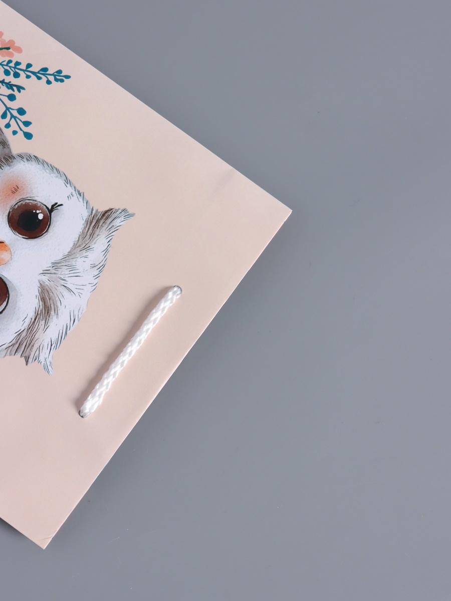 Пакет подарочный Арт и Дизайн Мудрая совушка бежевый - бирюзовый 18×22.3×10 см - фото 6