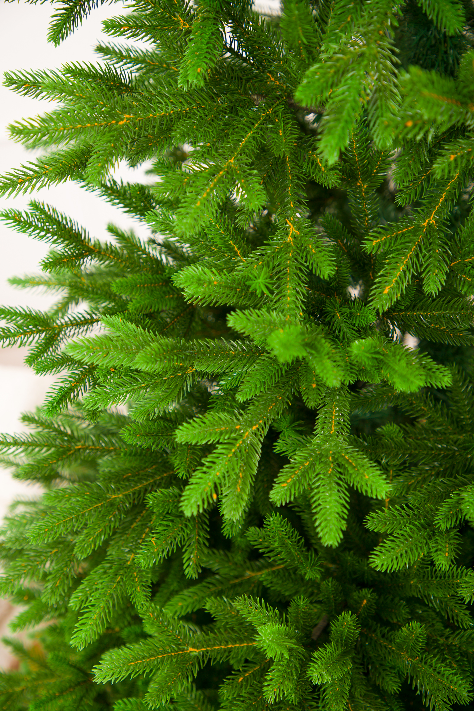 Ель Арфа Империя Ёлок 215 см - фото 5