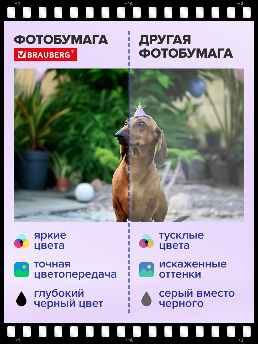 Фотобумага Brauberg матовая 10х15 см набор 50 листов односторонняя - фото 6