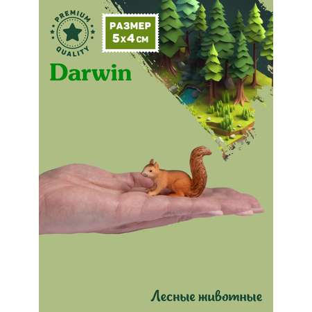 Фигурка DARWIN Лесные животные Белка