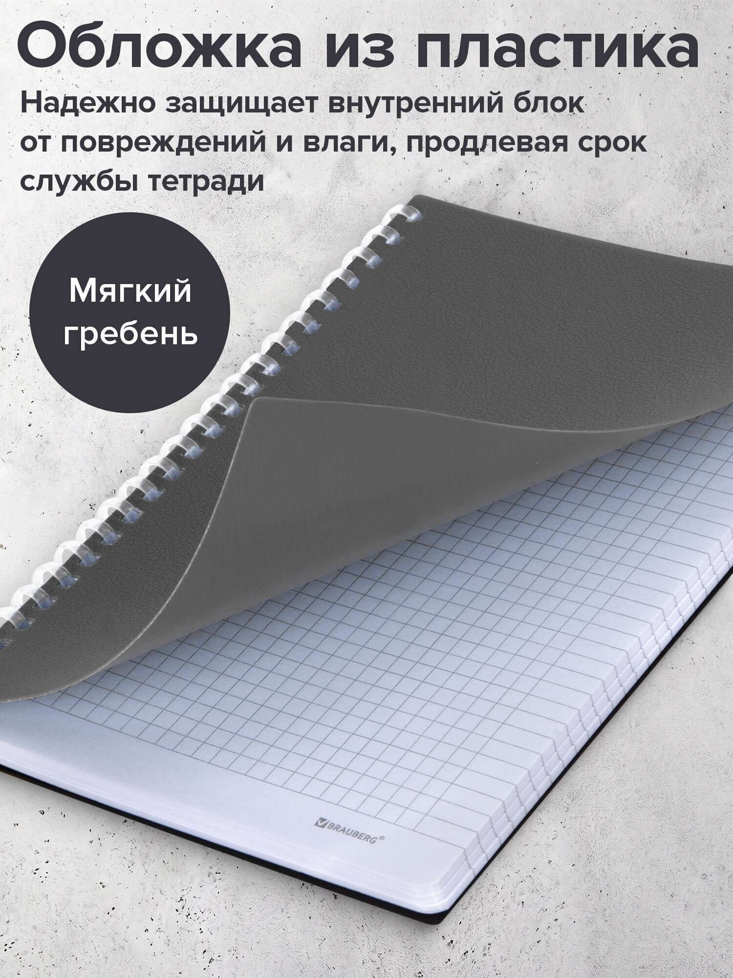 Тетрадь Brauberg клетка 80 лист. - фото 3