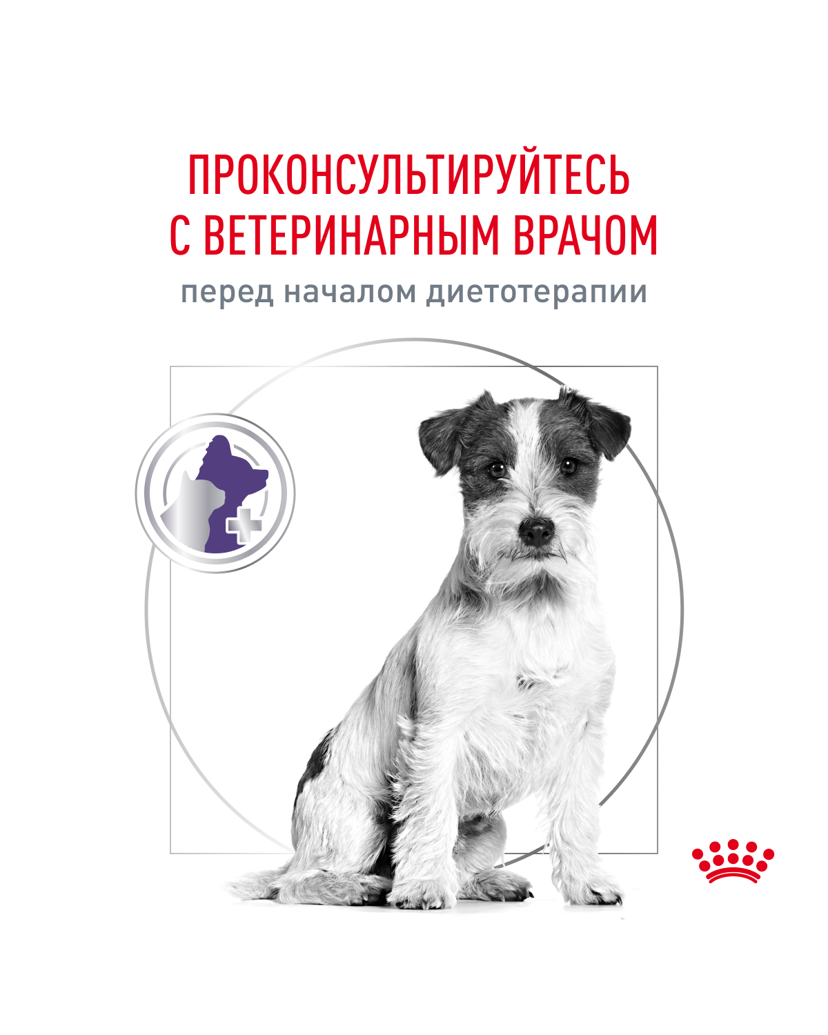 Корм для собак ROYAL CANIN Ньютрид Эдалт Смол Догз 0.8кг - фото 8