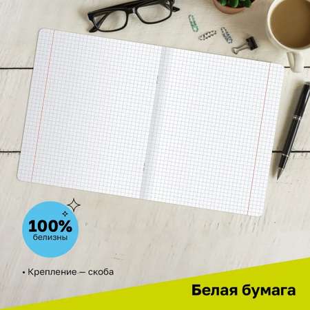 Общая тетрадь BG клетка 48 лист. 4 шт.