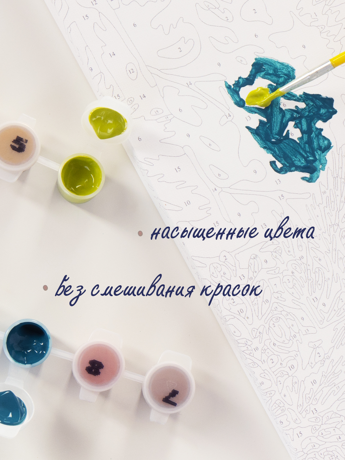Картина по номерам Attivio Мишка - фото 5