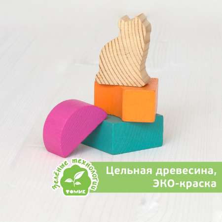 Конструктор Томик Цветной деревянный
