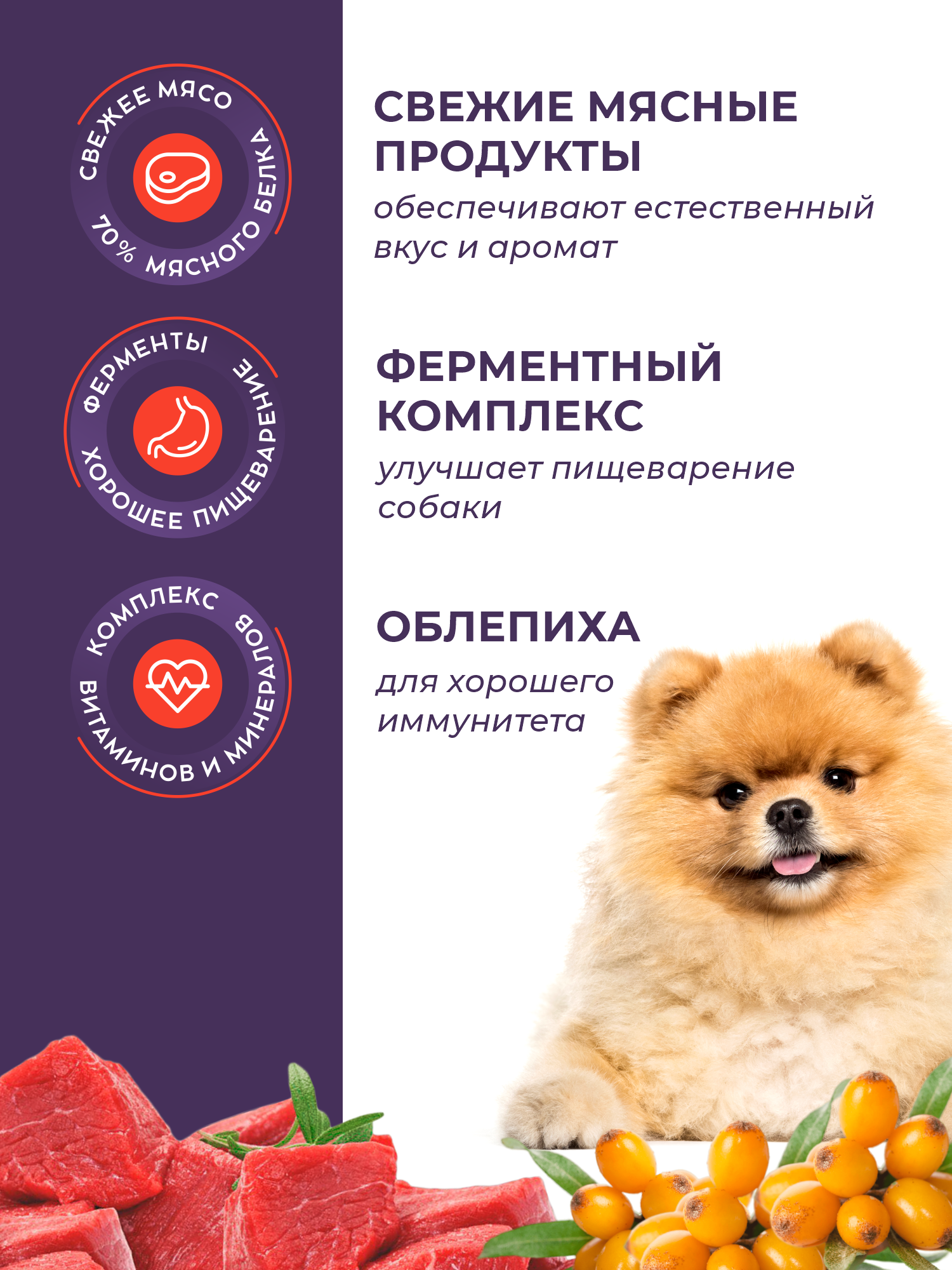 Сухой корм для собак GRANDHOLI Для породы шпиц Говядина с ягодами 1,5 кг - фото 2