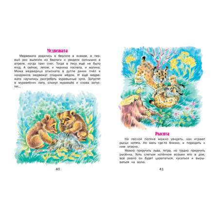 Книга Русич Верблюжья варежка. Сборник рассказов