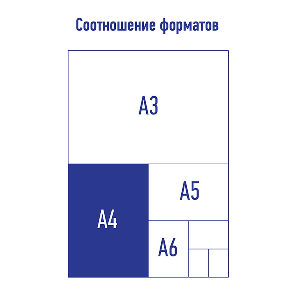 Папка на кольцах BERLINGO А4 - фото 4