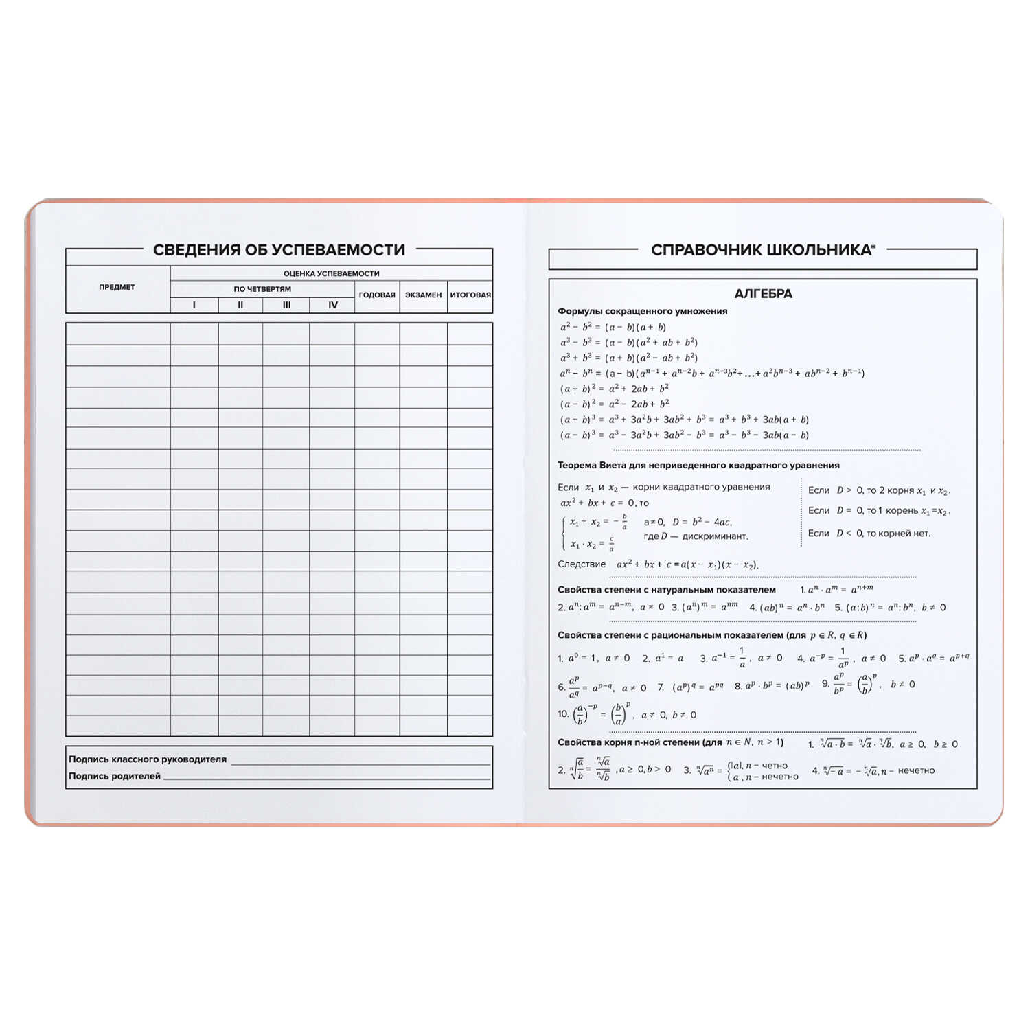 Дневник школьный Феникс + Кеды Эконом - фото 10