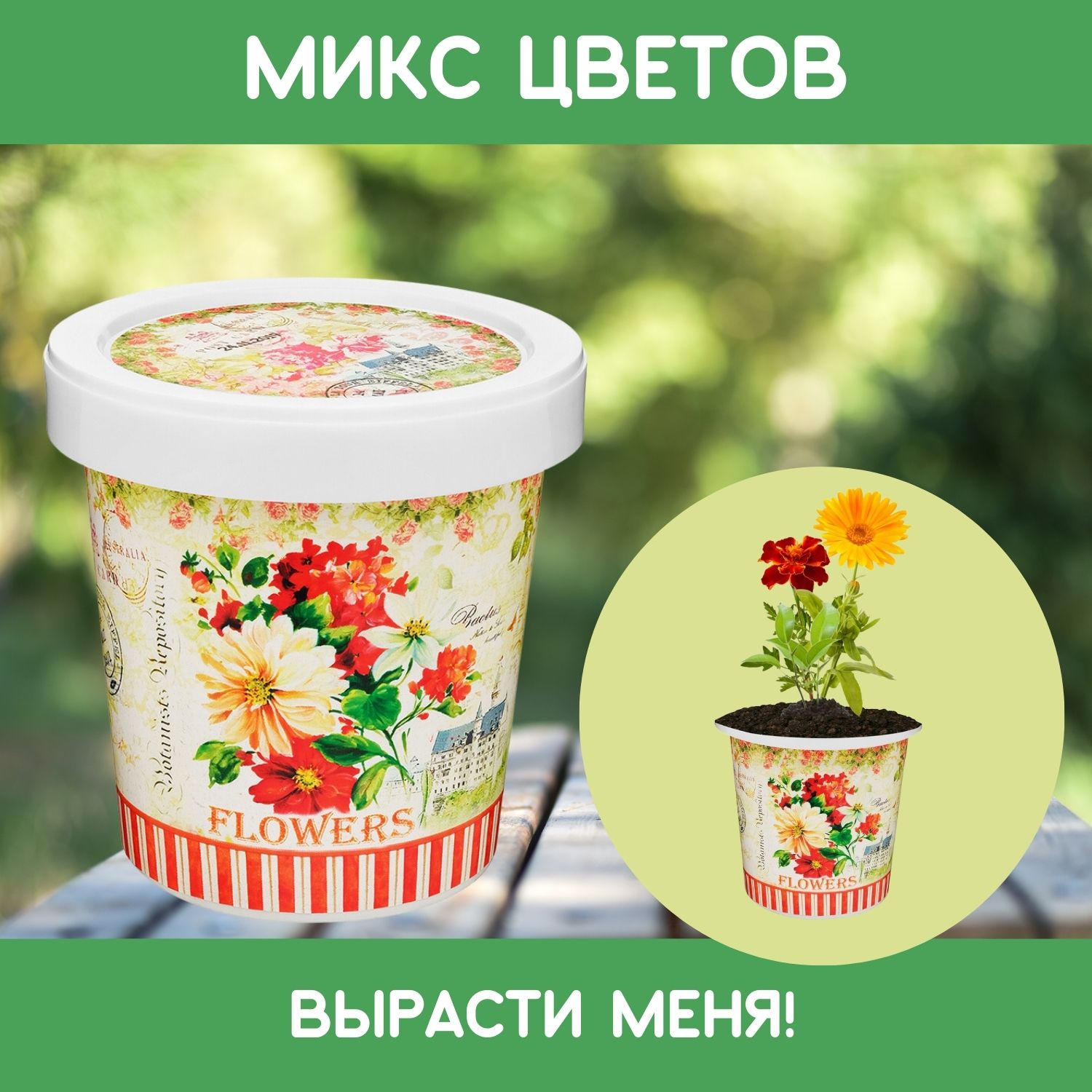 Набор для выращивания Rostok Visa - фото 1